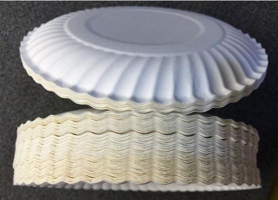 14.5X14.5CM PLA Disposable Handmade Round White Cake Paper Plate