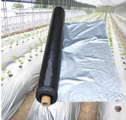 Width 20-2300mm Apple Tree Flective Agriculture Metalized CPP Film