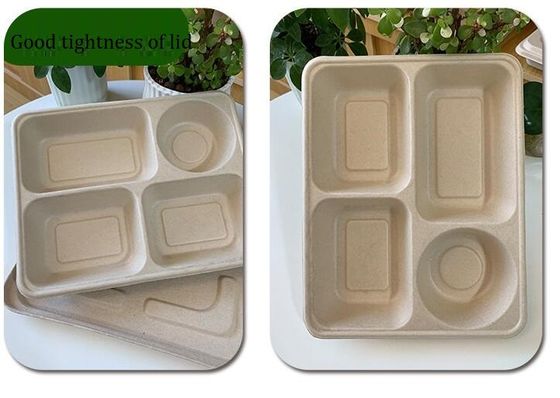 Four Grid Packaging Disposable Lunch Box ,  Biodegradable Takeaway Lunch Box