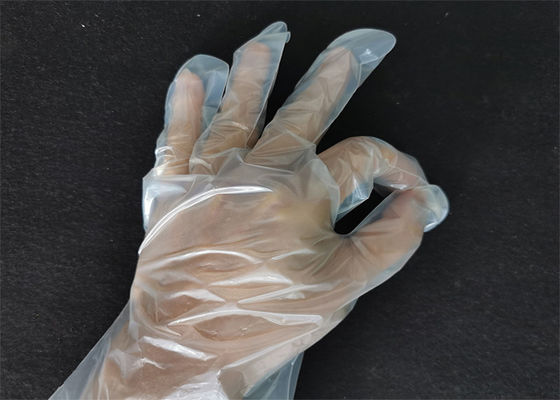 Ecofriendly Breathable soft Transparent Biodegradable Disposable Gloves