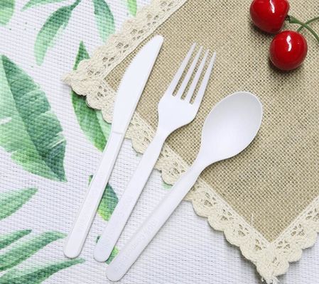 CPLA Disposable Paper Packaging Accessories Cutlery Sets 6.5-7 Inches 4-4.5gr