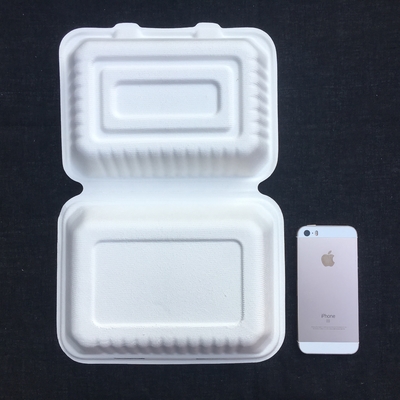 Rectangle Biodegradable 600ml Disposable Bento Lunch Box Sugarcane Pulp