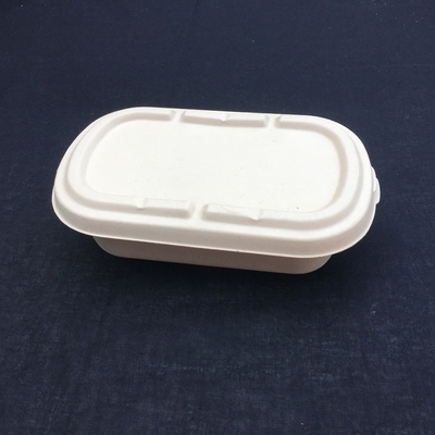 100% Biodegradable Sugarcane Salad Disposable Lunch Box With Transparent Lid