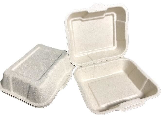 Conjoined Sugarcane Pulp Packaging Biodegradable Disposable Lunch Box