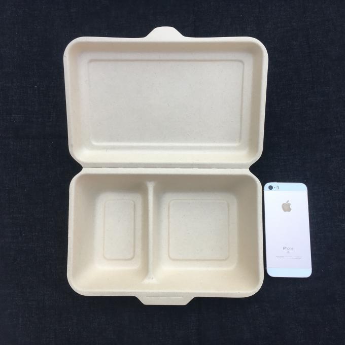 Rectangle Biodegradable 600ml Disposable Bento Lunch Box Sugarcane Pulp