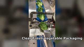 Food-grade anti-fog BOPP packaging film for vegetables