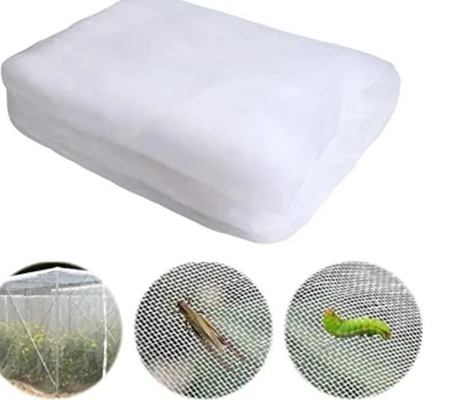 Good Bird Insect Protection Net Hail Proof Net White Anti Bee Net for Tree Crop Protection