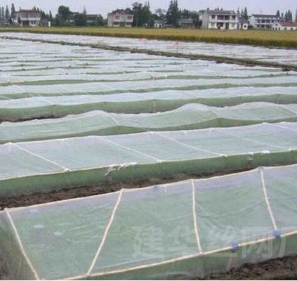 Good Bird Insect Protection Net Hail Proof Net White Anti Bee Net for Tree Crop Protection