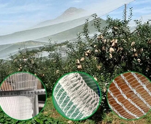 Good Bird Insect Protection Net Hail Proof Net White Anti Bee Net for Tree Crop Protection