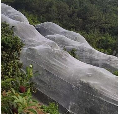Green Customized Bug Insect Protection Crop Net For Fruit Trees Vegetable Gardens House Factory
