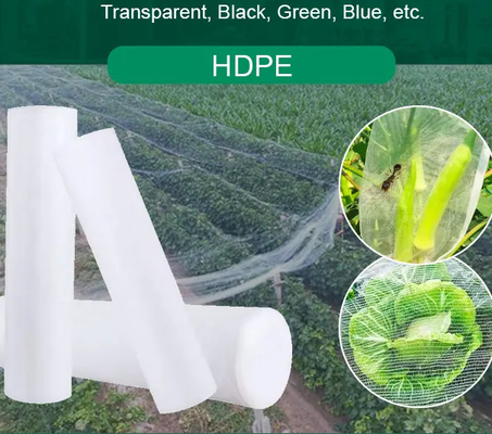 Green Customized Bug Insect Protection Crop Net For Fruit Trees Vegetable Gardens House Factory