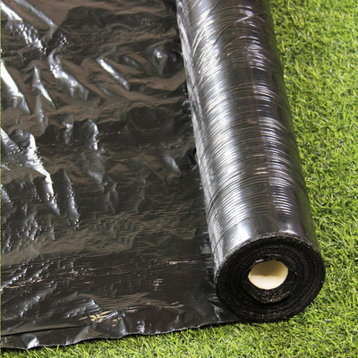 Silver Black 25um/30um/35um UV Mulch Plastic Film for Agriculture