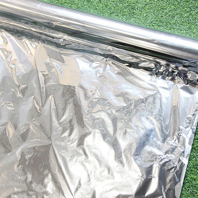 12mic pet one side Corona and other side chemical primer coating for strength printing