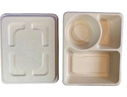 3Grid Disposable Lunch Box , Takeaway Biodegradable Packaging Box