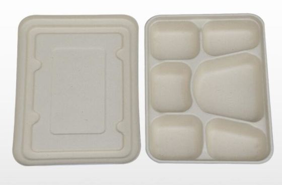 FDA 6 Compartment Degradable Tableware Wheat Straw Disposable Lunch Box
