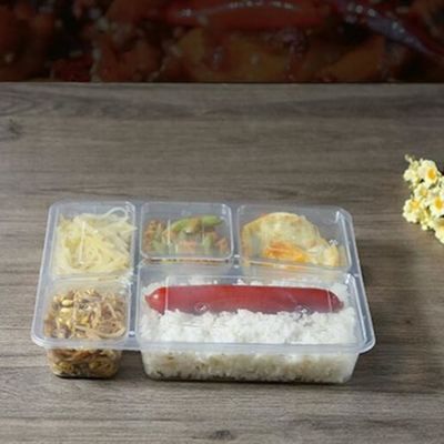 Good Health Food Transparent PP 5 Compartment Lunch Box With Microwable