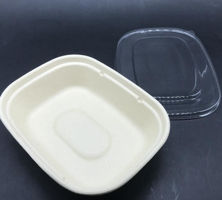 Sald Bio Rectangle U Shape Sugarcane Tableware Food Container With Transparent Lid