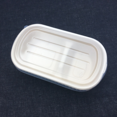 100% Biodegradable Sugarcane Salad Disposable Lunch Box With Transparent Lid