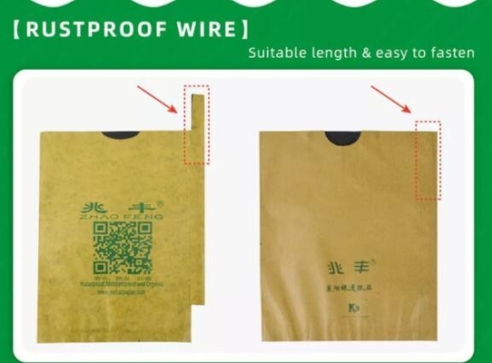 Waterproof Mango Covering Bags Fruit Protection Bag For Sri Lanka Marketing