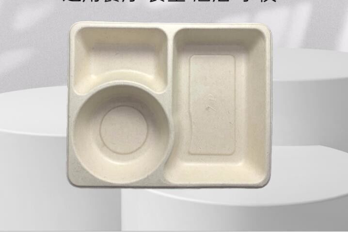 3Grid Disposable Lunch Box , Takeaway Biodegradable Packaging Box